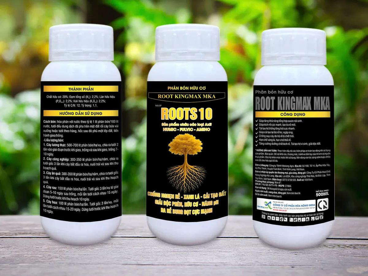 ROOTS 10