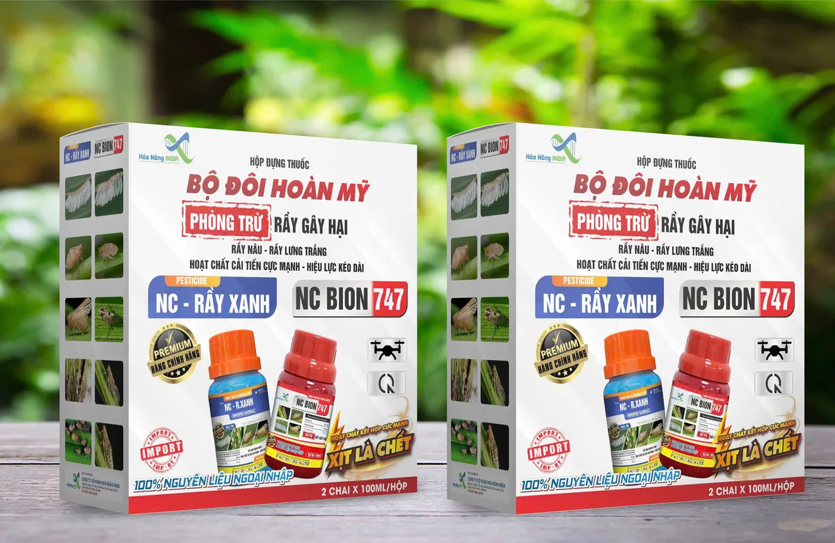 BỘ ĐÔI HOÀN MỸ