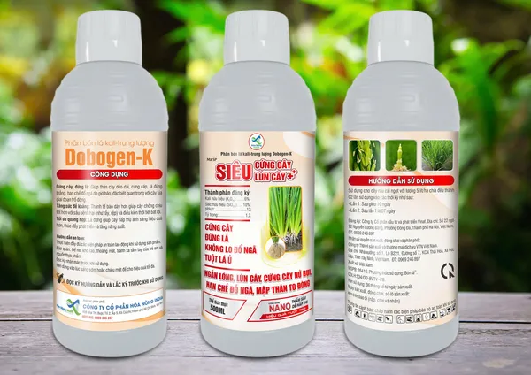 SIÊU CỨNG CÂY LÙN CÂY