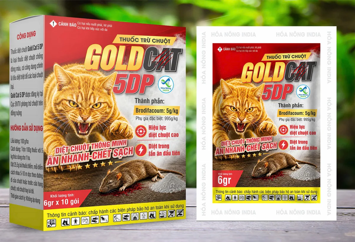 GOLD CAT 5DP