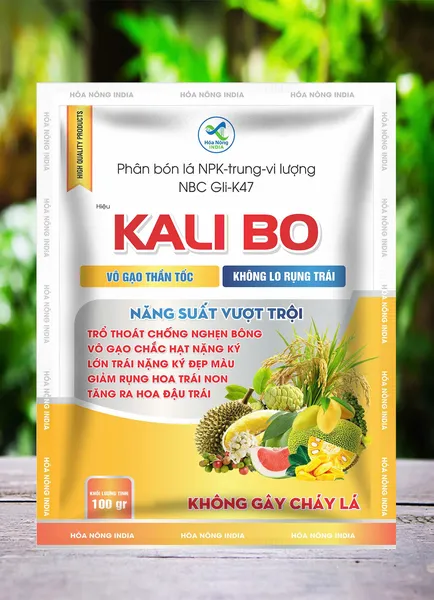 KALI BO (NBC GII-K47)