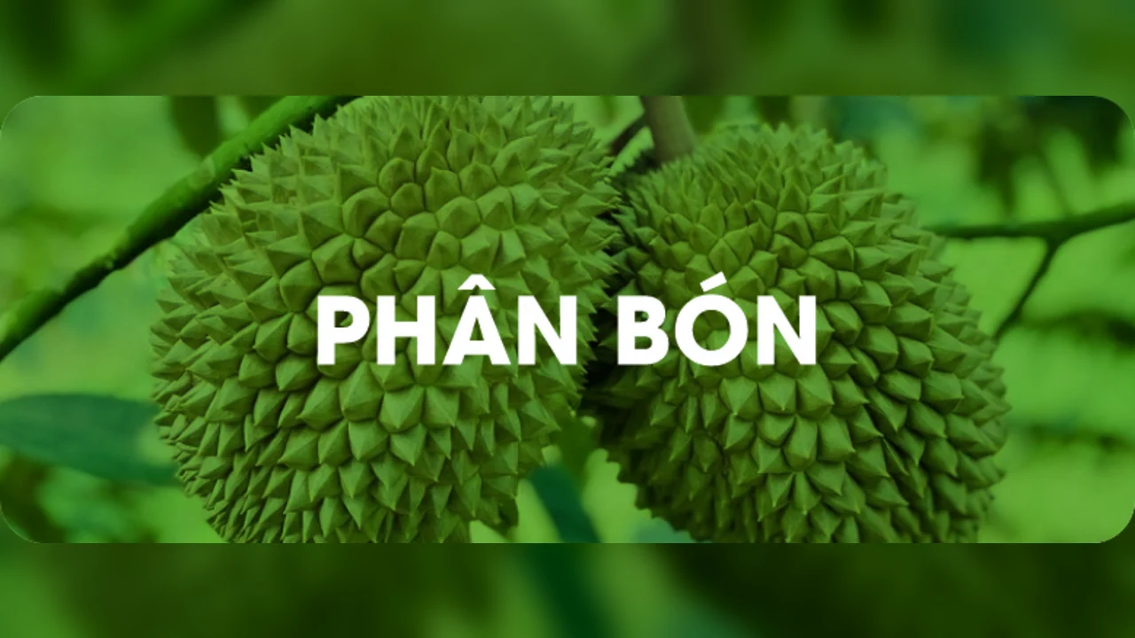 Phân bón — Hoá Nông India