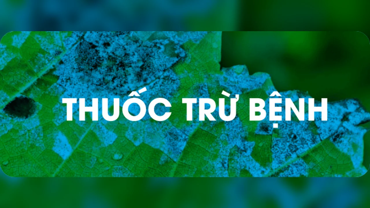 Thuốc trừ bệnh — Hoá Nông India