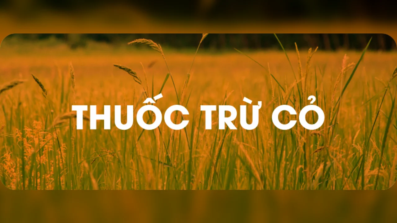 Thuốc trừ cỏ — Hoá Nông India