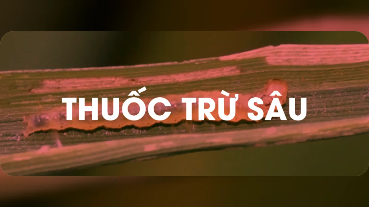 Thuốc trừ sâu — Hoá Nông India