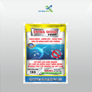 Thuốc trừ bệnh EXTRA GOLD 70WP | Hoá Nông India