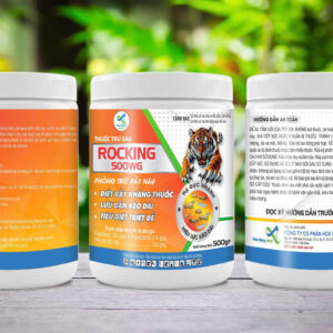 ROCKING 500WG