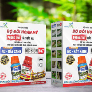 BỘ ĐÔI HOÀN MỸ