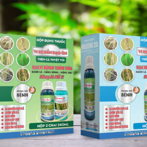 VI KHUẨN ĐẠO ÔN