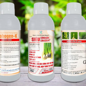 SIÊU CỨNG CÂY LÙN CÂY