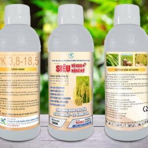 SIÊU VÔ GẠO NẶNG KÝ