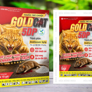 GOLD CAT 5DP