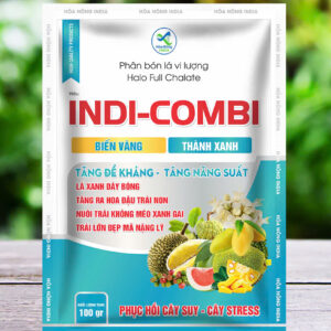 INDI-COMBI