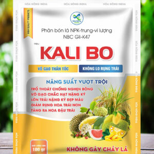 KALI BO (NBC GII-K47)